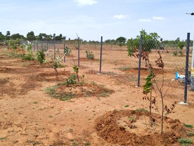 Agricultural Land in Sooriyur for resale Tiruchirappalli. The reference number is 20904700