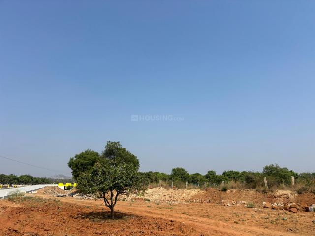 Agricultural Land in Srinivaspur Rural for resale Kolar. The reference number is 20732591