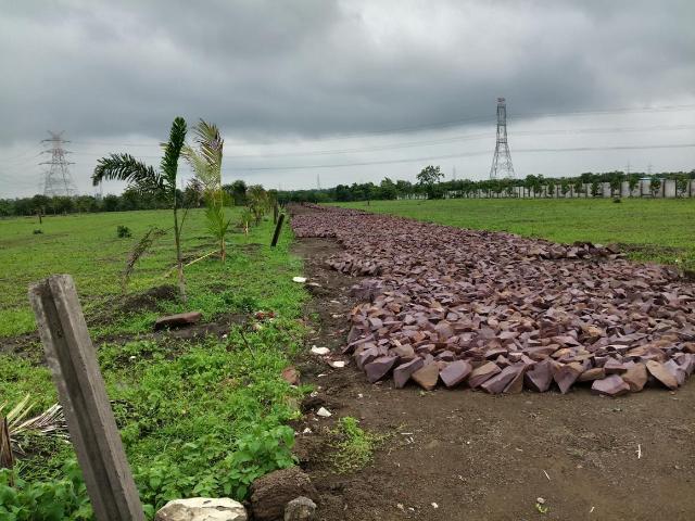 Agricultural Land in Sukhi Sewania for resale Vidisha Road. The reference number is 17809414