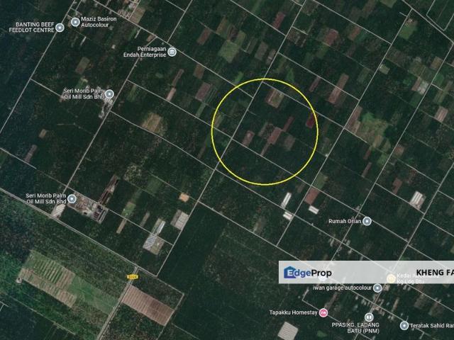 Agricultural Land, Mukim Batu, Tanjung Sepat, Kuala Langat for Sale