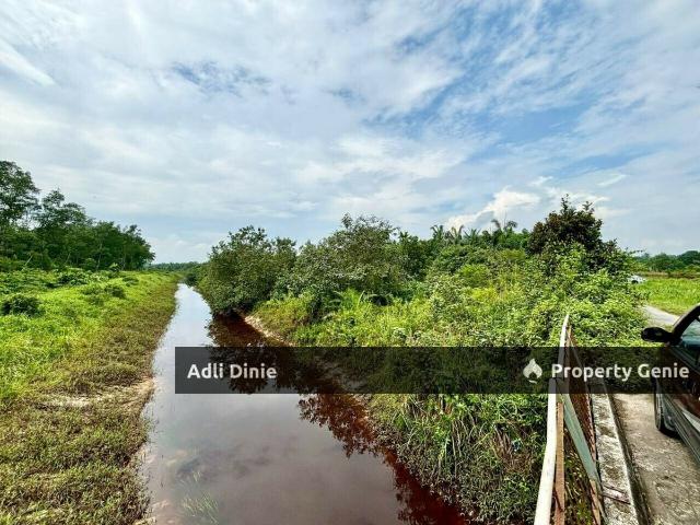 Agricultural Land Pekan Nenas Pontian Johor