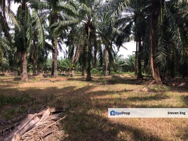 Agricultural Land Freehold @ Sitiawan, Perak