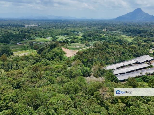 Agricultural Land, Sungai Tengah, Matang