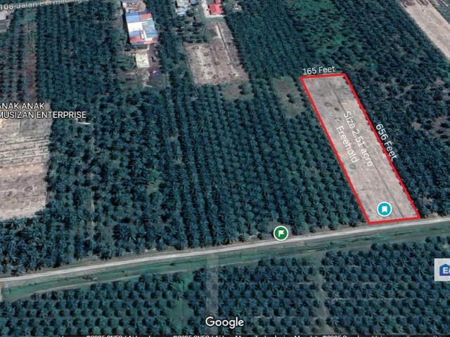 Freehold Agricultural Palm Oil Tree Land For Sale, 2.51 acre