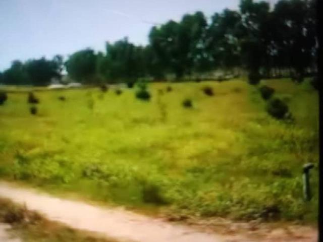 Agriculture 232 kanal land for sale at very cheap rate in Pakistan | Clasf real estate