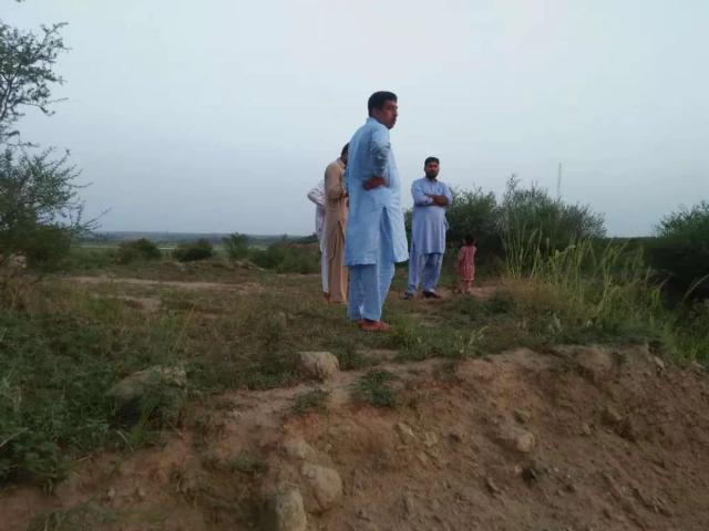 Agriculture Chakwal ID 22477