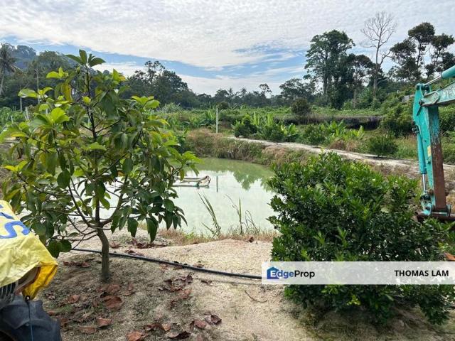 Agriculture land at Tampin, Negeri Sembilan for sale