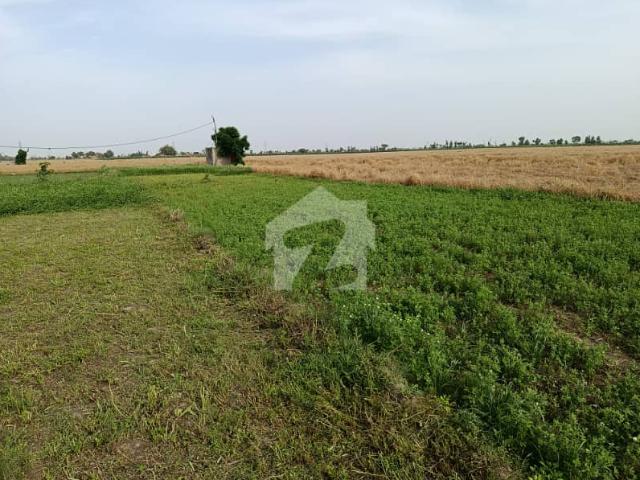 Agriculture Land Available For Sale