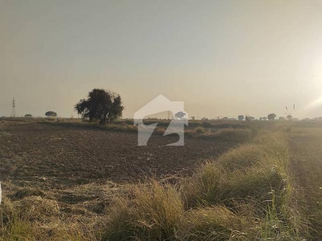 Agriculture Land Available For Sale