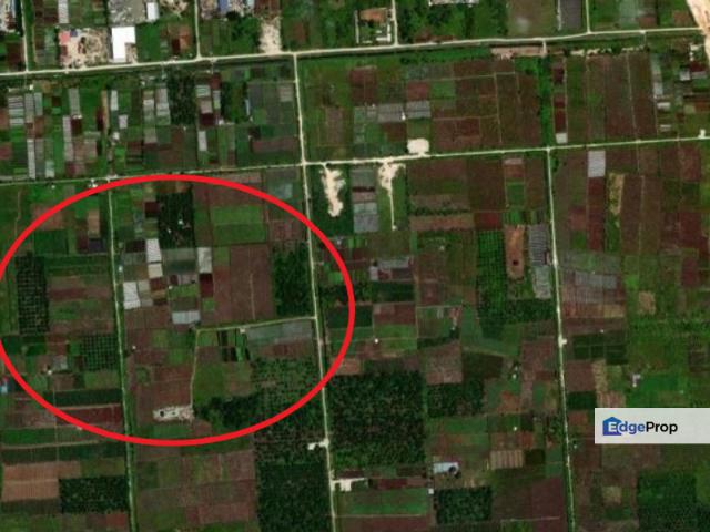 Agriculture land for Sale