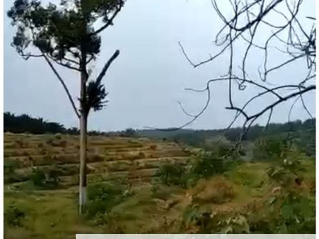 Freehold agriculture land for sale