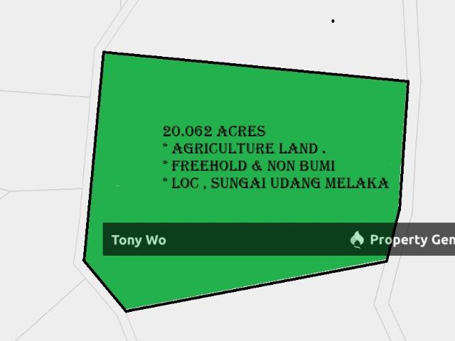 Agriculture land for Sale Melaka Tengah