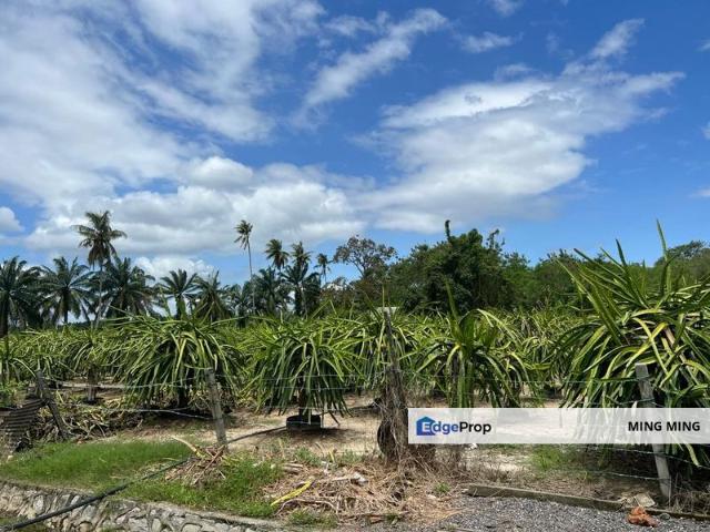 Agriculture Land for Sale at Pekan Sepang
