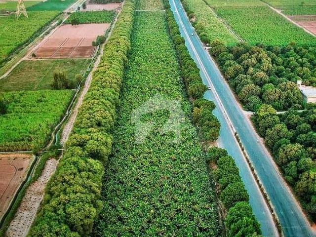 Agriculture Land For Sale In Hyderabad Mirpurkhas Road