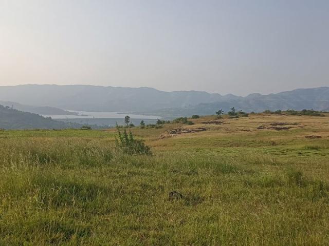 Agriculture Land In Velhe 1 Acre Plot in Velhe Pune Listing ID: #10387