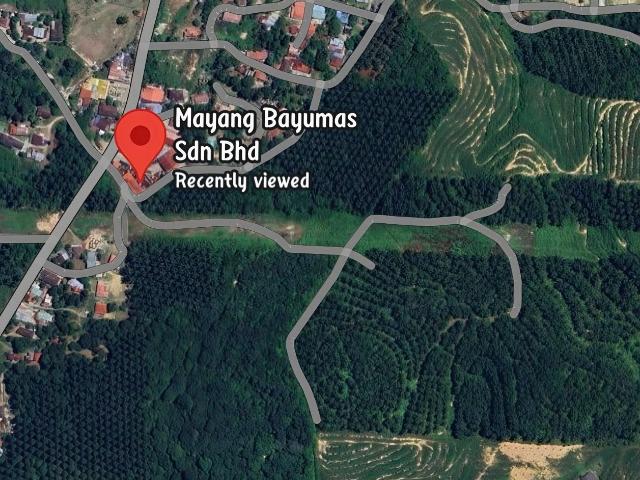 Agriculture Land Kulim Kedah For Sale