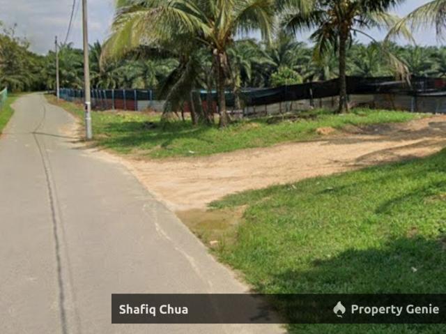 Agriculture Land Kampung Batang Rokan Gemencheh Negeri Sembilan