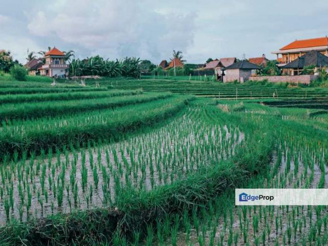 Agriculture Land @ Klang, Selangor For Sale