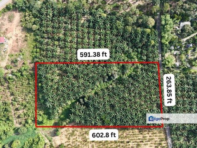 Agriculture Land Kota Tinggi 3.6Acres