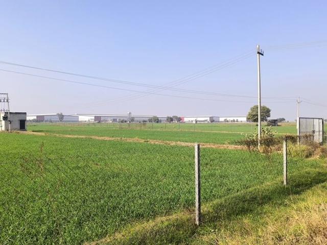 Agriculture Land Pataudi Commercial Land 6 Acre in Pataudi Gurgaon Listing ID: #10106