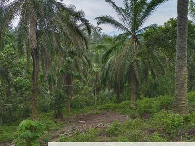 Agriculture Land @ Taiping
