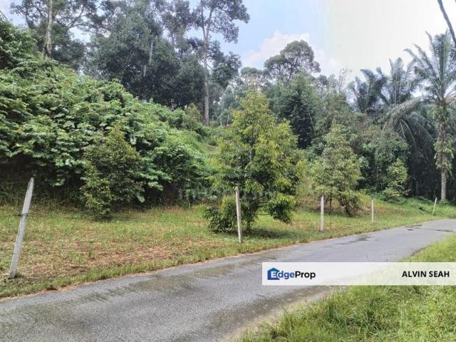 Agriculture Land @ Taiping