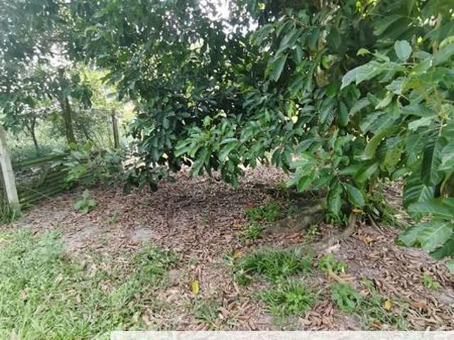 Agrilcuture Land for 2 Acres below market