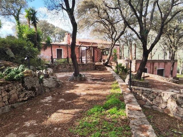 Agriturismo in vendita a Calangianus