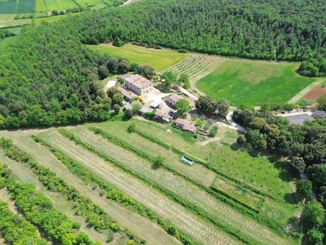 Agriturismo in vendita a Monteriggioni
