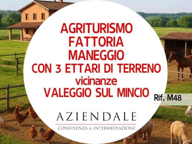 Agriturismo in vendita a Valeggio Sul Mincio