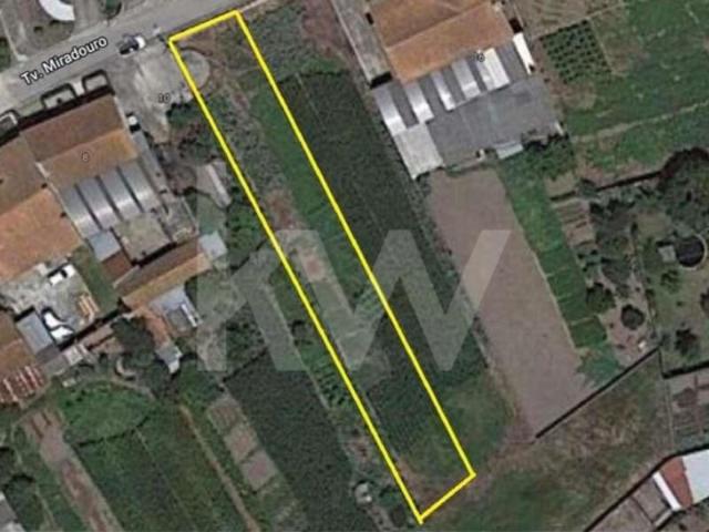 Águeda Águeda LS102175191