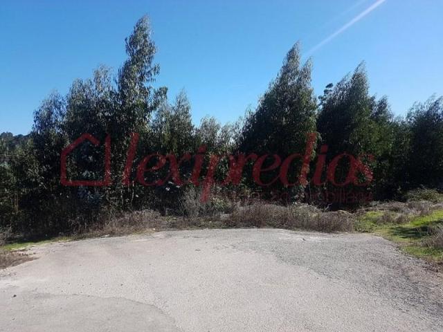 Águeda Águeda LS102338497