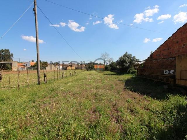 Águeda Águeda LS102935618