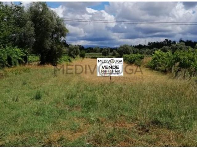 Águeda Águeda LS102935624