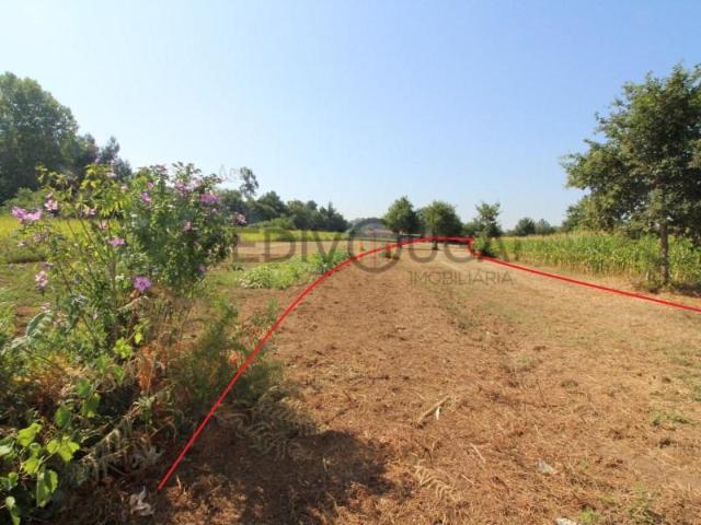 Águeda Águeda LS102935630