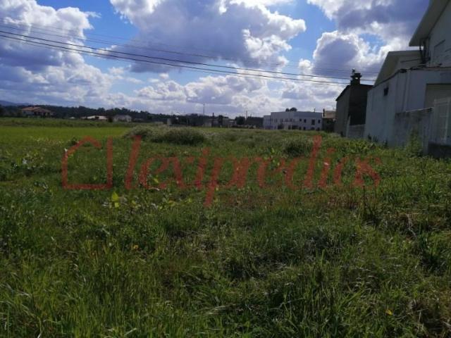 Águeda Águeda LS95846209