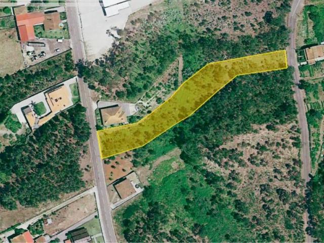 Águeda Águeda LS95979732