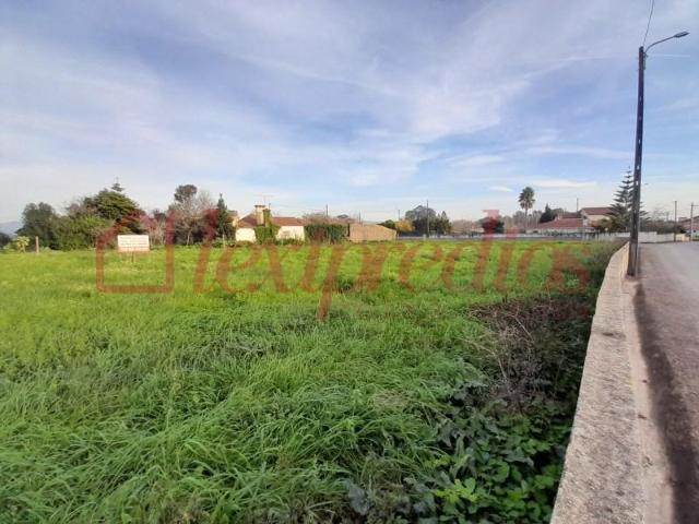 Águeda Águeda 100322979