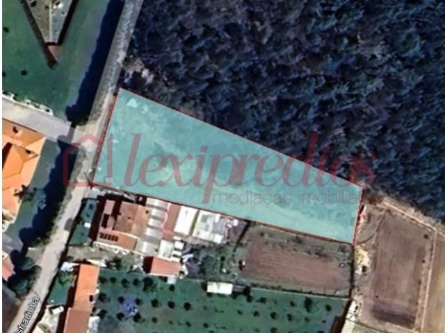 Águeda Águeda 100323014