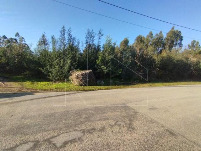Águeda Águeda 100936436