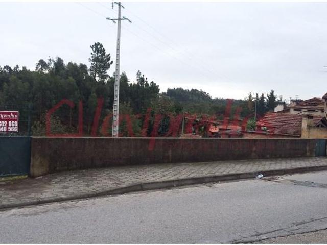 Águeda Águeda 101014231