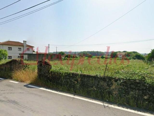 Águeda Águeda 101156863