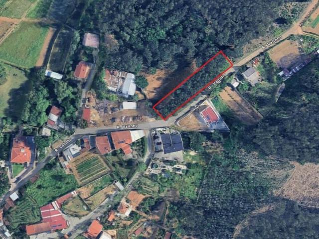 Águeda Águeda 101309787