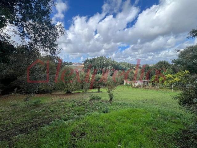 Águeda Águeda 101459920