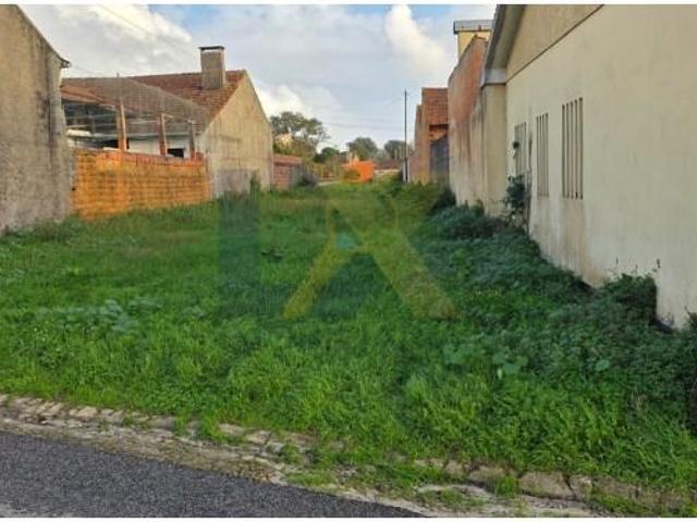 Águeda Águeda 101485479