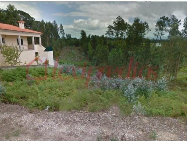 Águeda Águeda 101651414