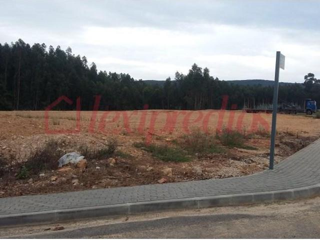 Águeda Águeda 101635533