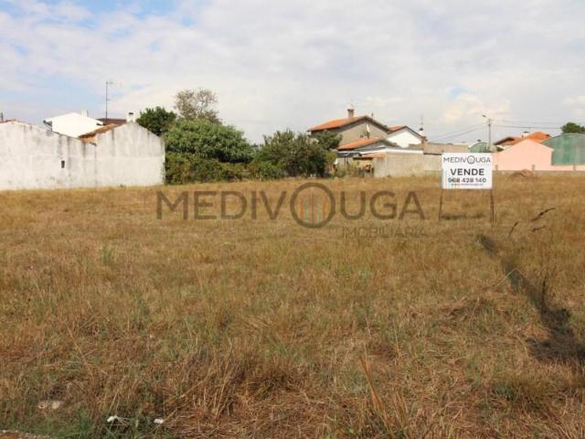 Águeda Águeda 101876395