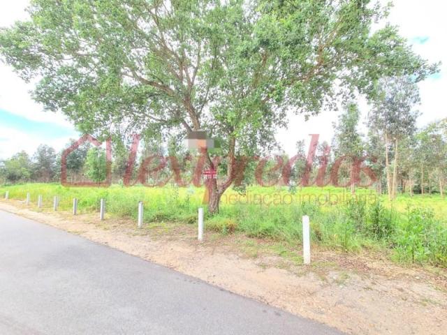 Águeda Águeda 102338494