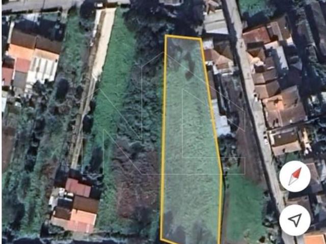 Águeda Águeda 102587022